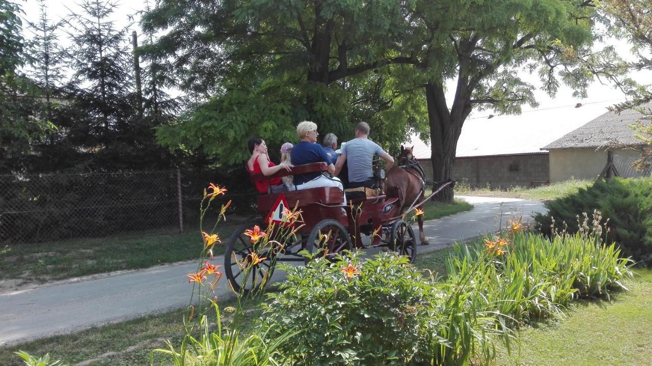 Swieze Poddasze U Przybyszow Andruszkowice Luaran gambar